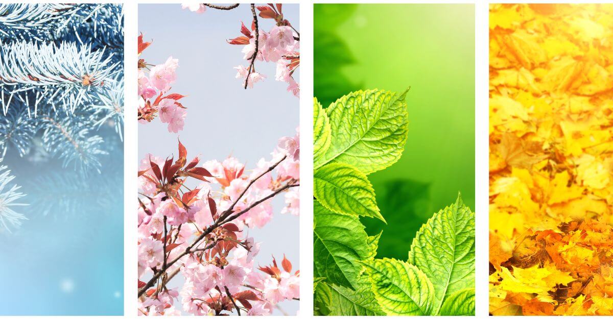 Changing Seasons TCM