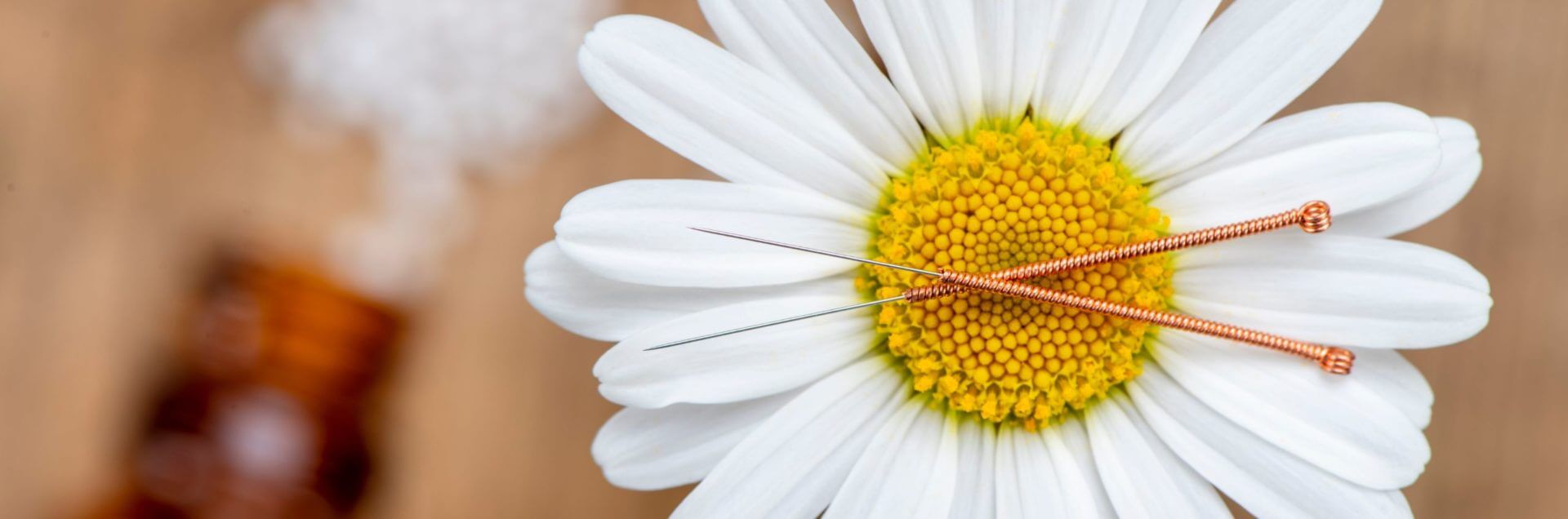 acupuncture and herbs