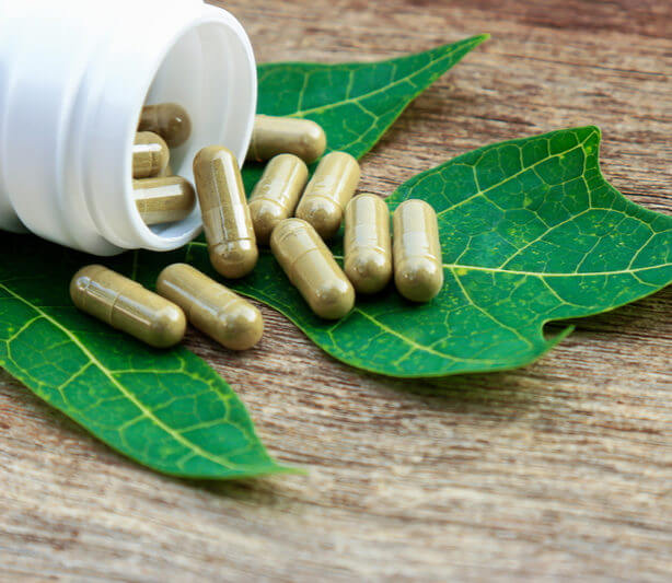 wholesale herb suppliers