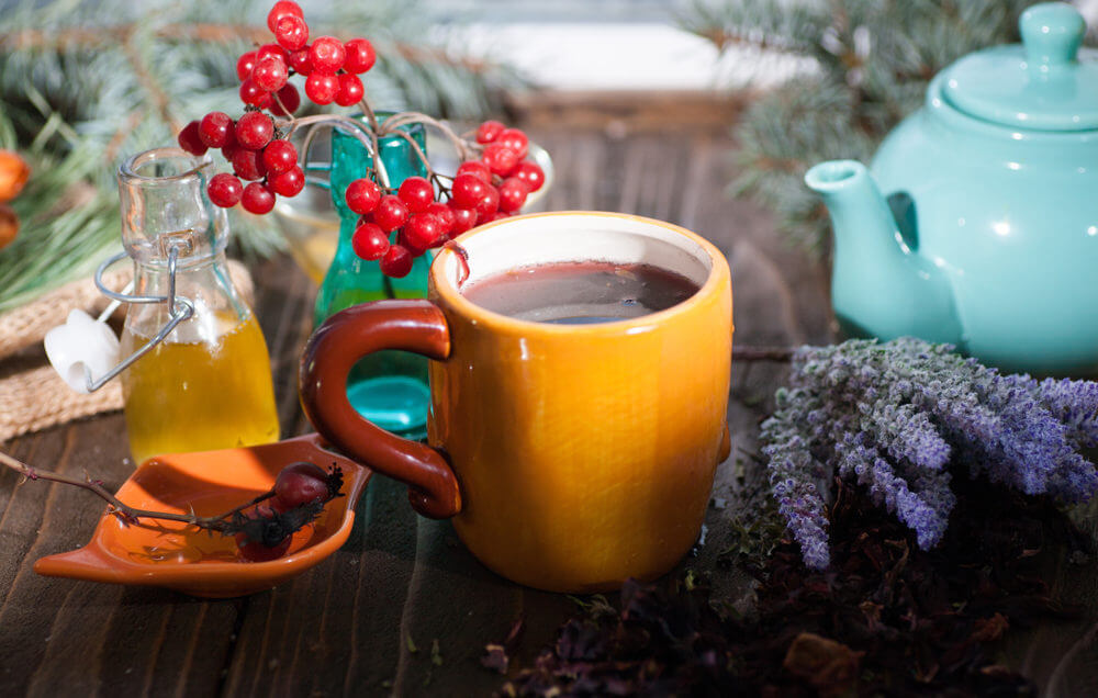 tcm holliday survival guide