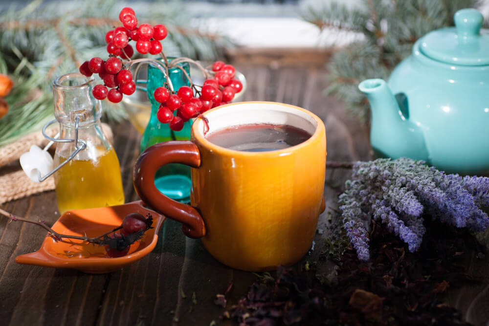 tcm holliday survival guide