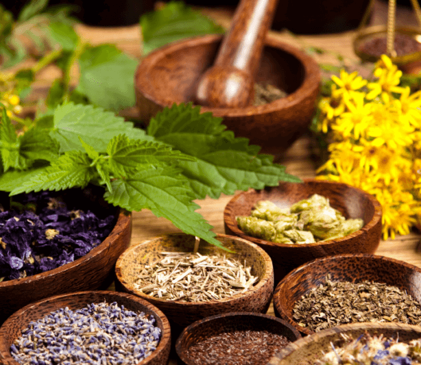 Kosher & Halal Herbs: TCM Made Accessible