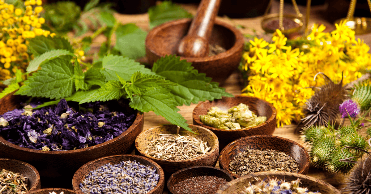 Kosher & Halal Herbs: TCM Made Accessible