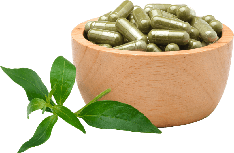 TCM Capsules in Bulk