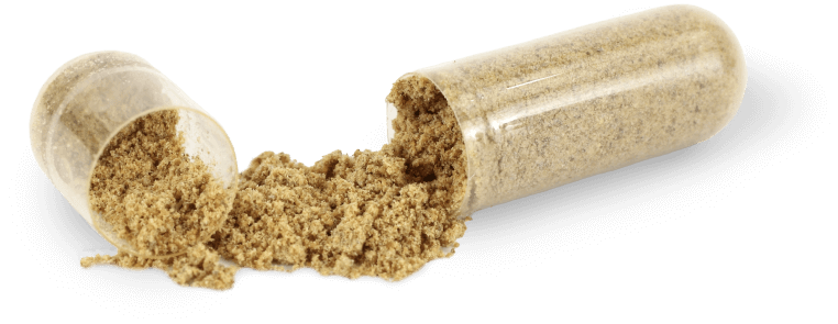 TCM Capsules Manufacturing